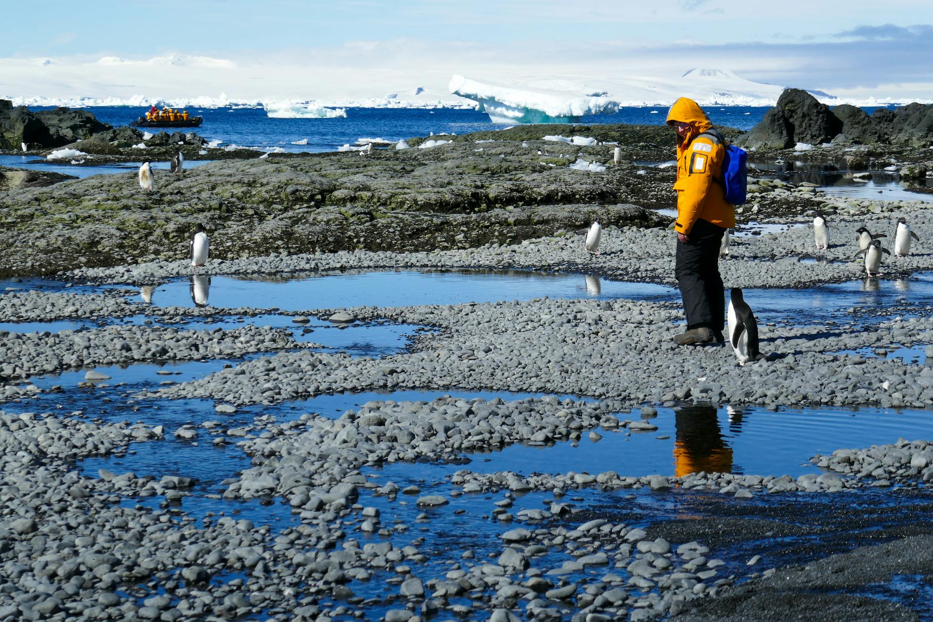 Polar Expedition