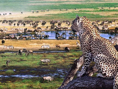Ngorongoro Crater